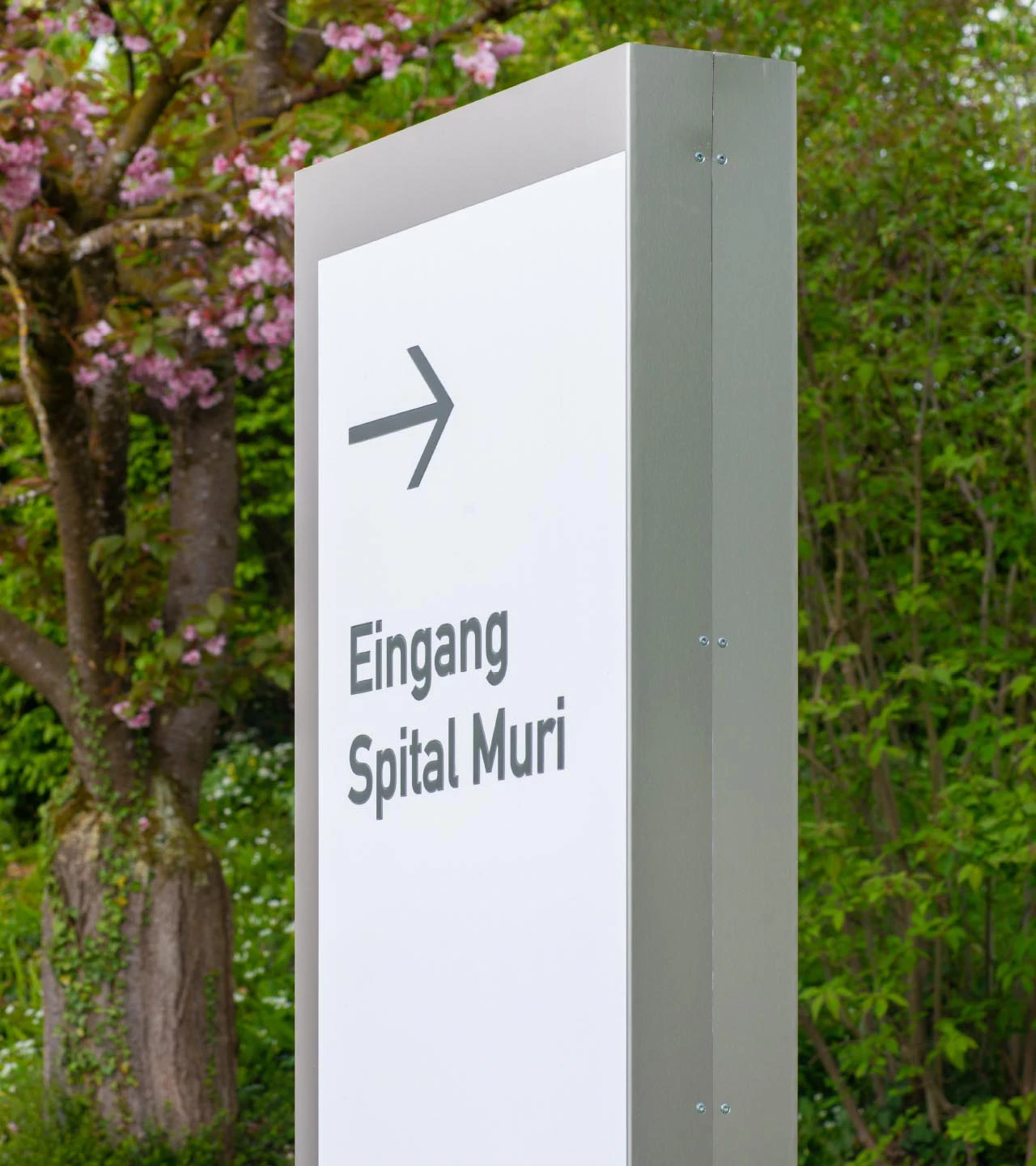 Spital Muri