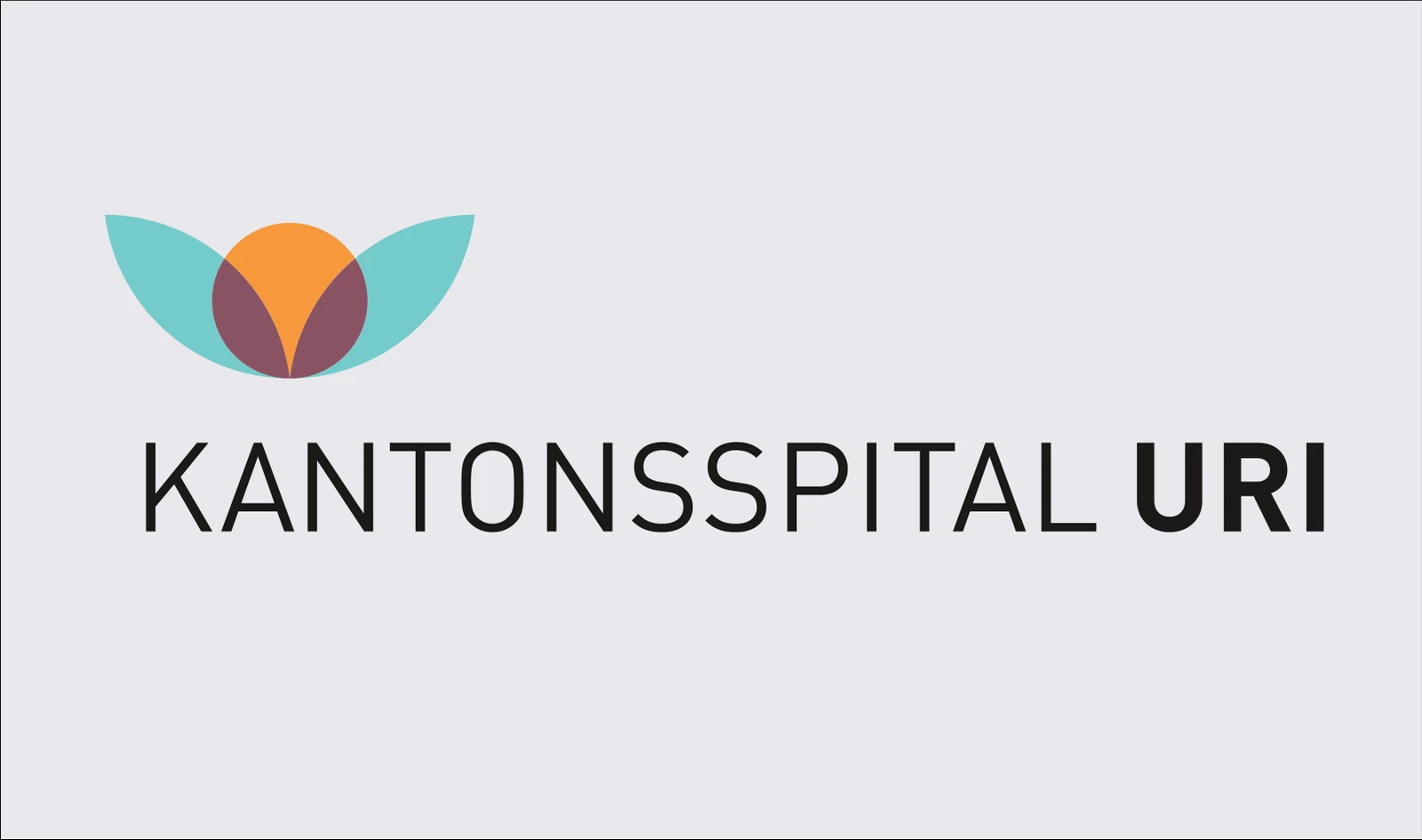 Frühere Wortmarke des Kantonsspitals Uri