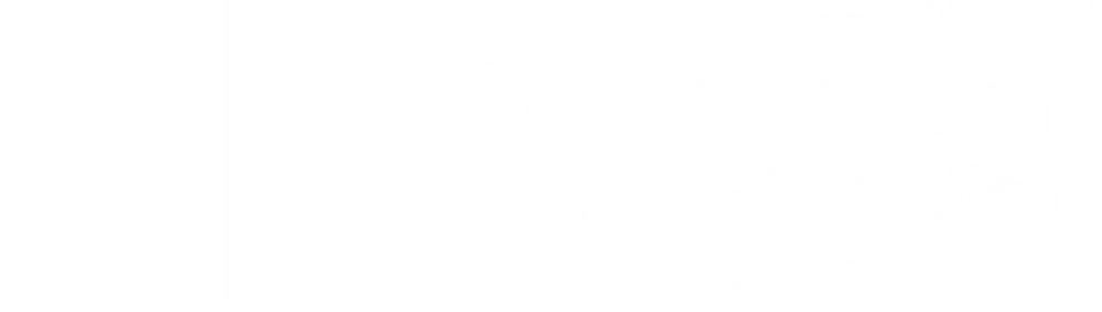 International Institute for Information Design