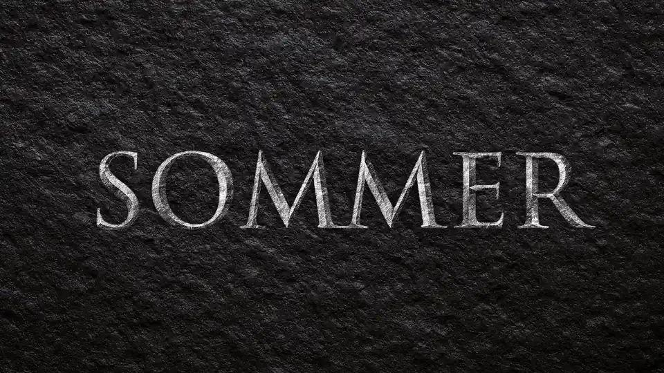 Logo Sommer