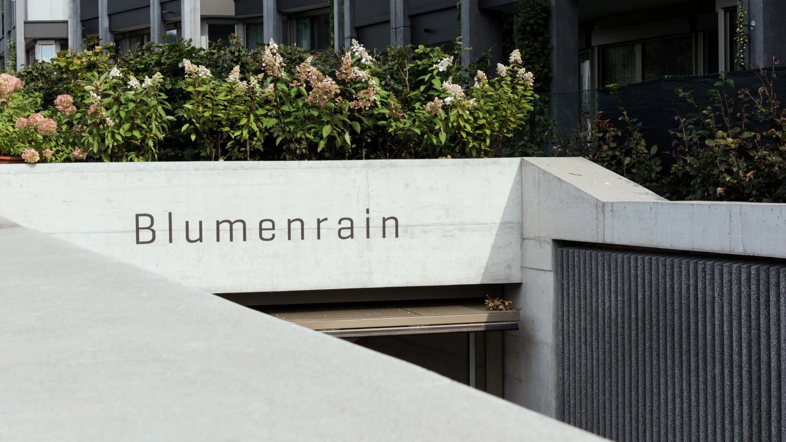 Blumenrain