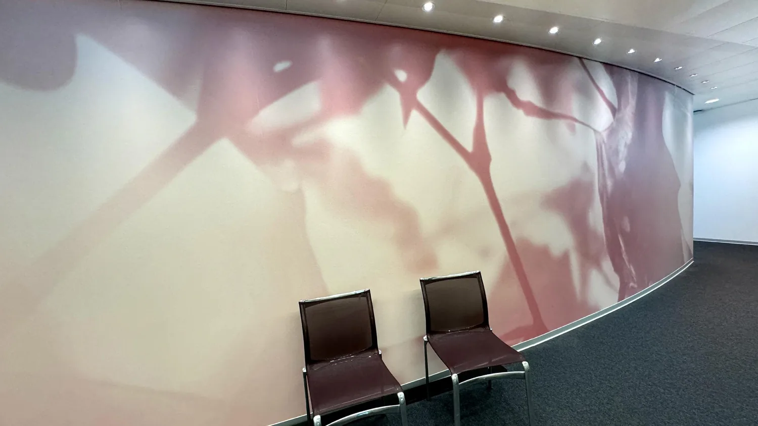 Kantonsspital Aarau