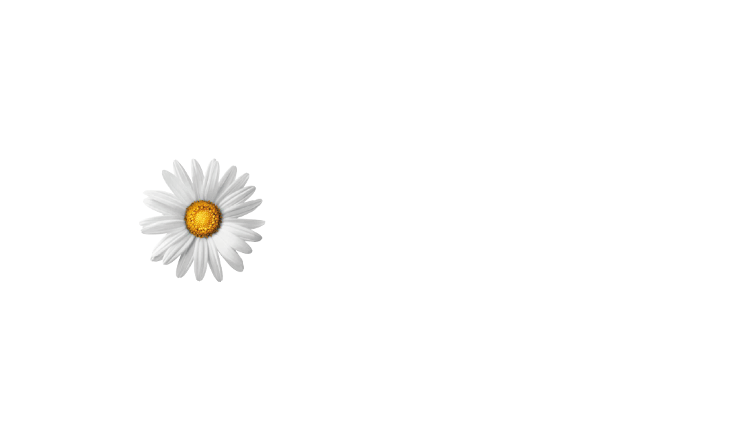 kundenlogo_implenia
