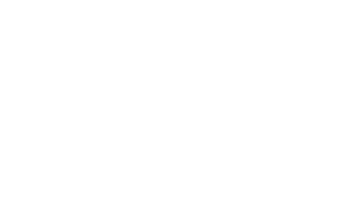 kundenlogo_planzer