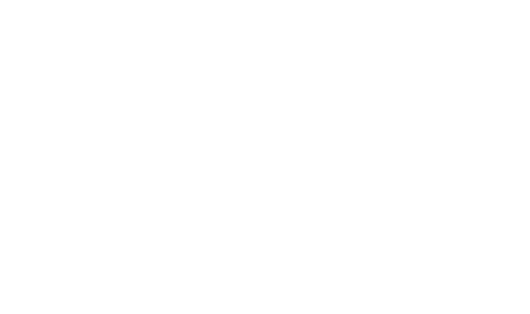 kundenlogo_skyguide